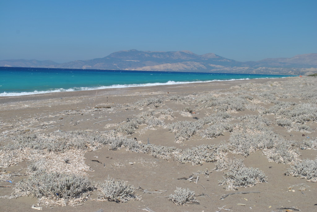 Ostrov Rhodos mě mile překvapil