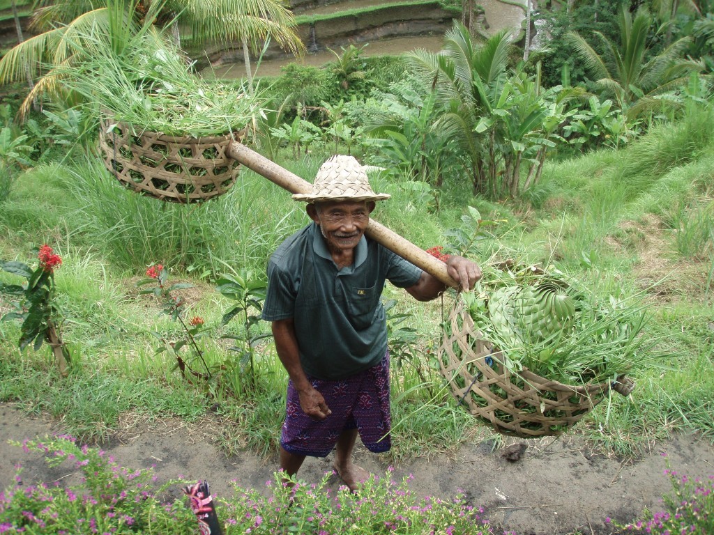 Kurz raw stravování na&nbsp;Bali