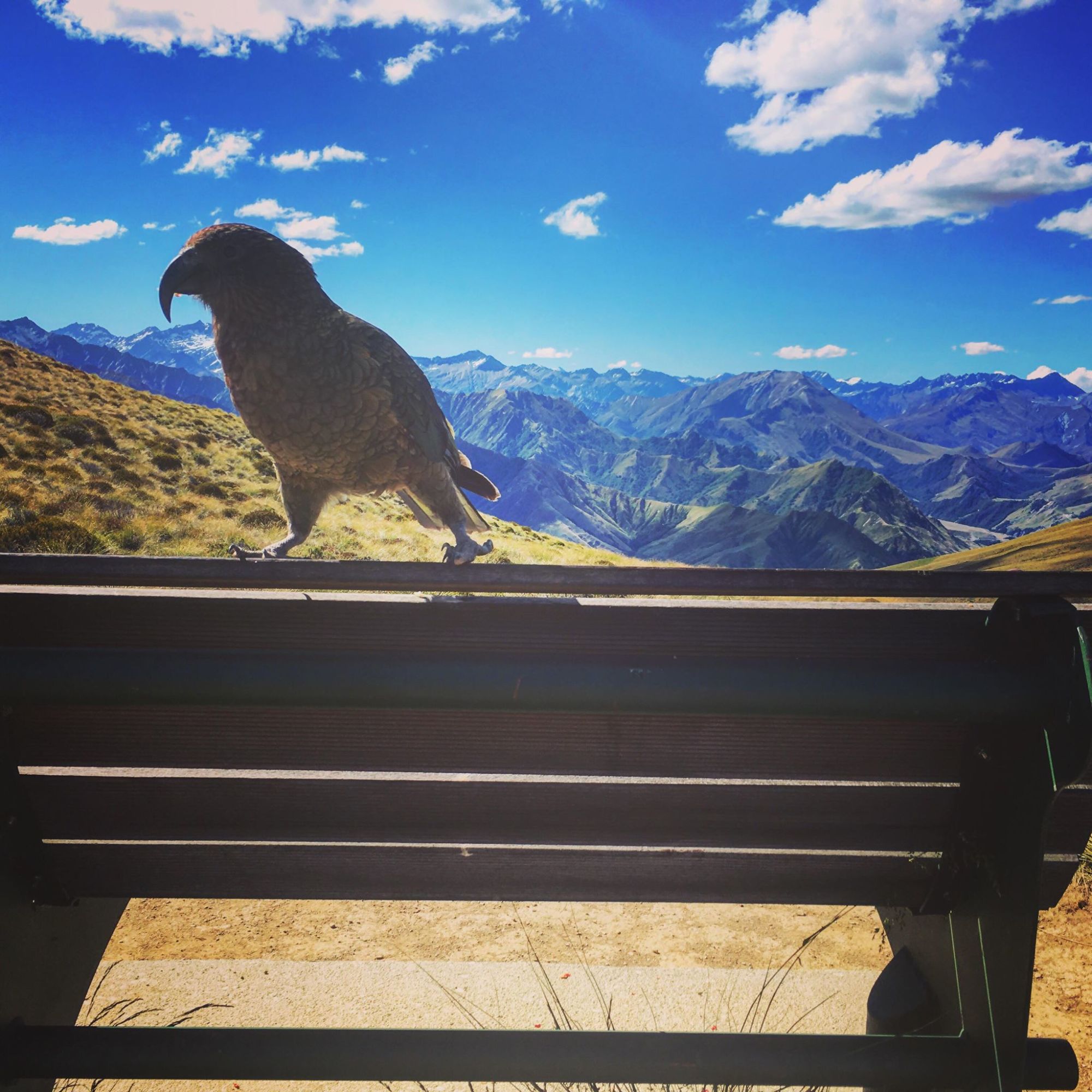 11 míst, kam se podívat na&nbsp;Novém Zélandu