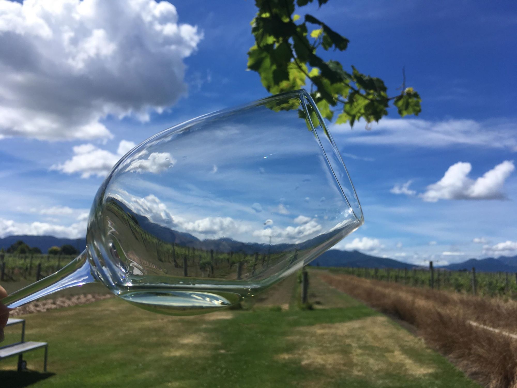 Nový Zéland: Povinná zastávka na&nbsp;chutná vína v&nbsp;Marlborough