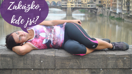 jak získat zakázky bez referencí