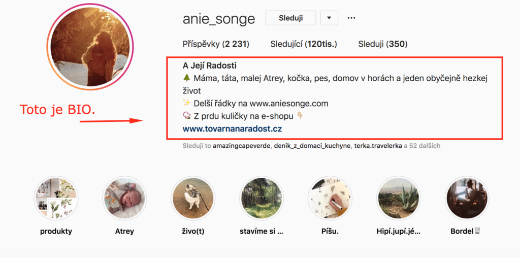 jak vydělávat pomocí Instagramu