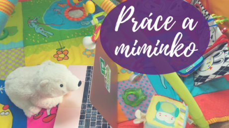 přivýdělek na rodičovské dovolené